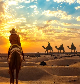 Camel safari in Jaisalmer desert at sunset – explore Rajasthan tours and trips
