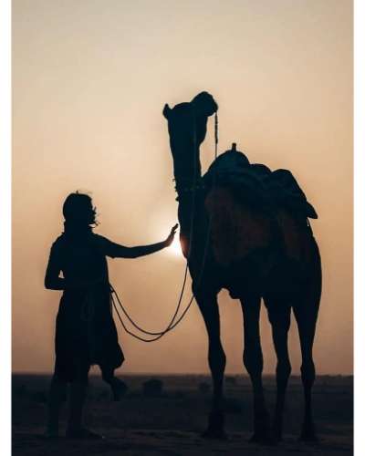 Jaisalmer Trip Gallery-Camel Ride Photo